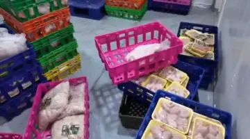 صحيفة المرصد – بالفيديو.. مداهمة مستودع دواجن يديره مستثمر أجنبي في الرياض.. ومفاجأة بشأن ما عُثر عليه